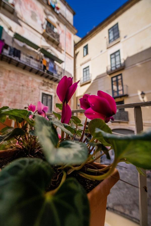 Bed and Breakfast Terre Dipinte Salerno Exterior foto